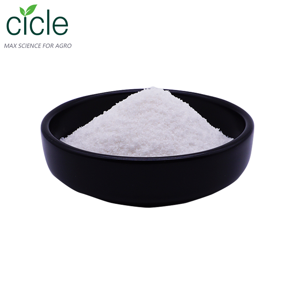 L-Cysteine Cystine Powder 99%