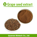 Grape Seed Extract Powder Procyanidin OPC 95% 4852-22-6