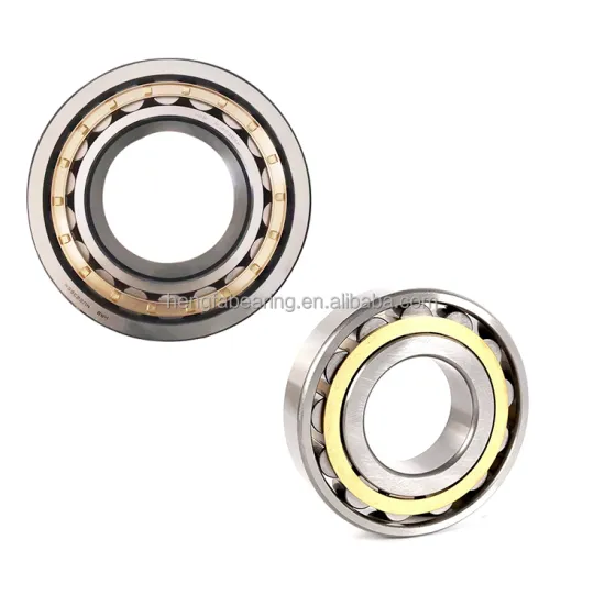 Cylindrical Roller Bearings RH 313M Magnetic-Bearings