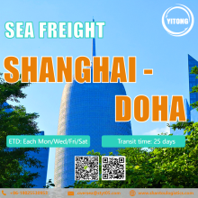 شحن البحر الدولي من شنغهاي إلى الدوحة قطر