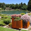 Veradek Metallic Series Corten Steel Box Planter