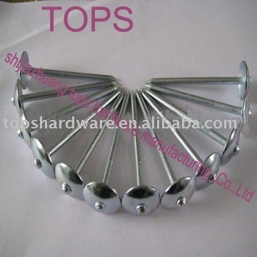 Umbrella Roofing Nails