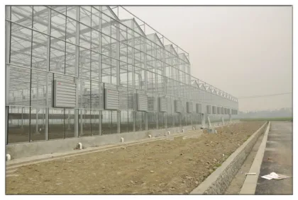 Intelligent Greenhouse Flower House