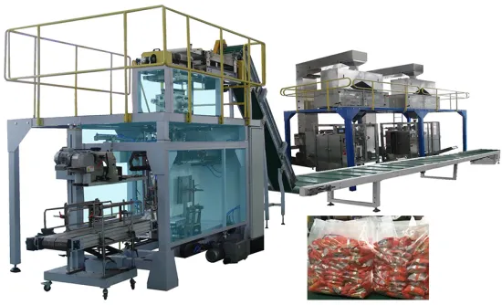 Snack Secondry Packing Machine