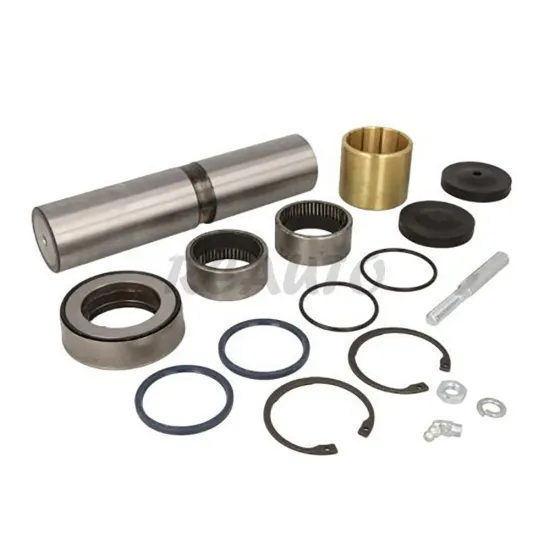 OE 5010630994 5010056002 7485135013 King Pin Kit for Renault Kerax Truck Spare Parts
