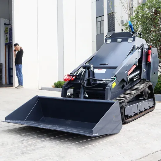 Mini Skid Steer Loader with Track for Sale