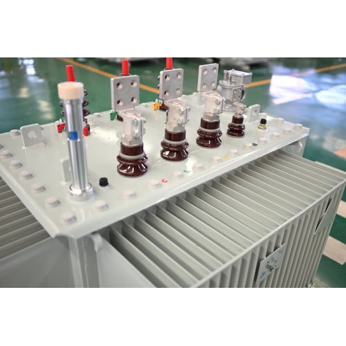 S20-M-1000 10KV Oil Immersed Power Transformer