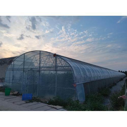 Standard Single Span Film Shelter