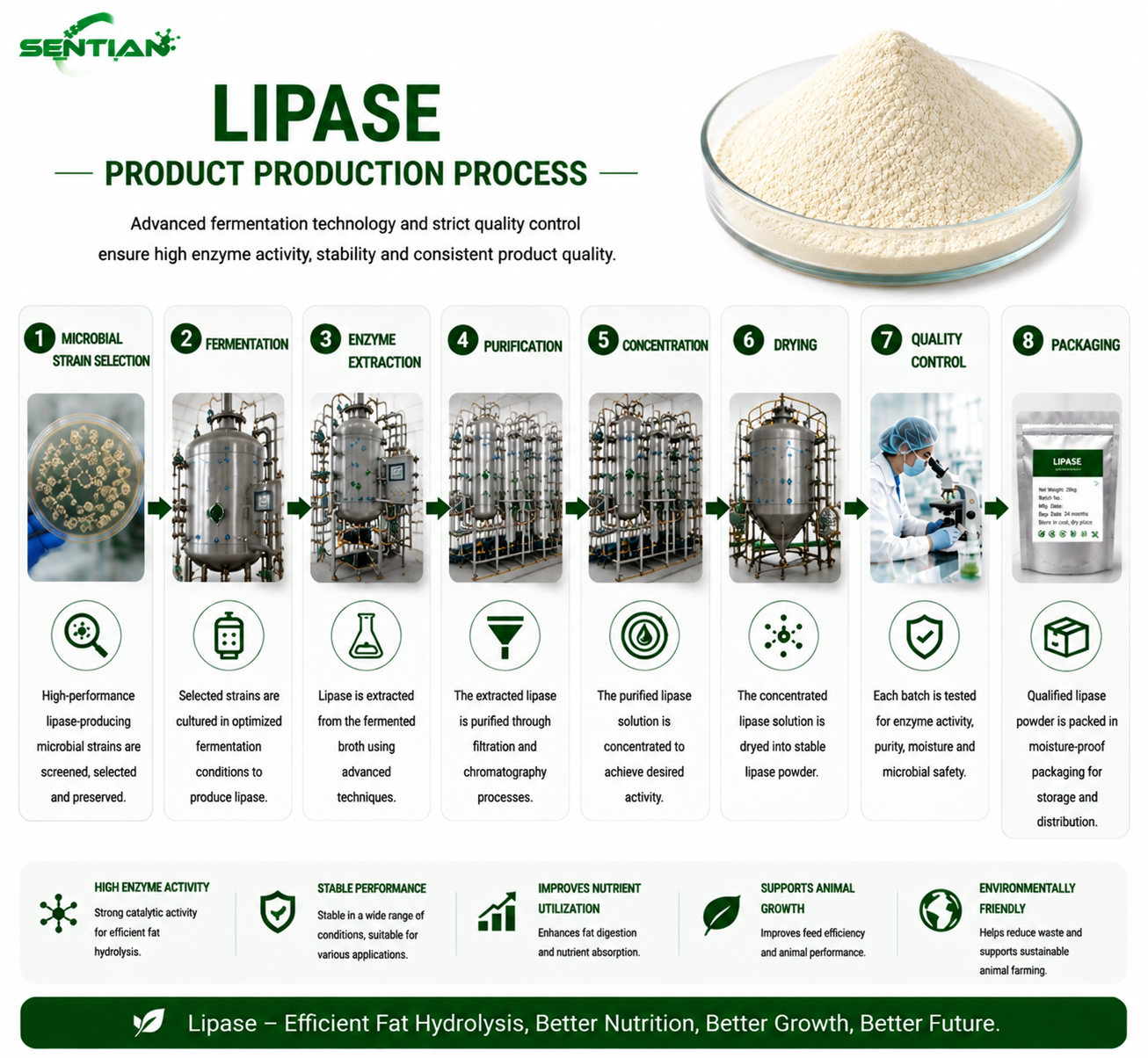 Lipase1