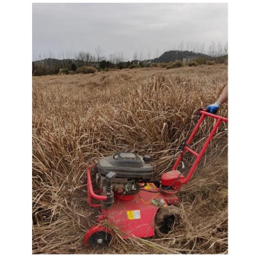 Gasoline-Powered Remote Control Lawn Mower for Sale