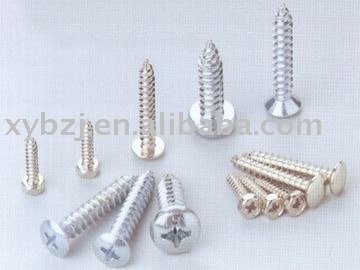 All Size Screws Manufacturer in China
