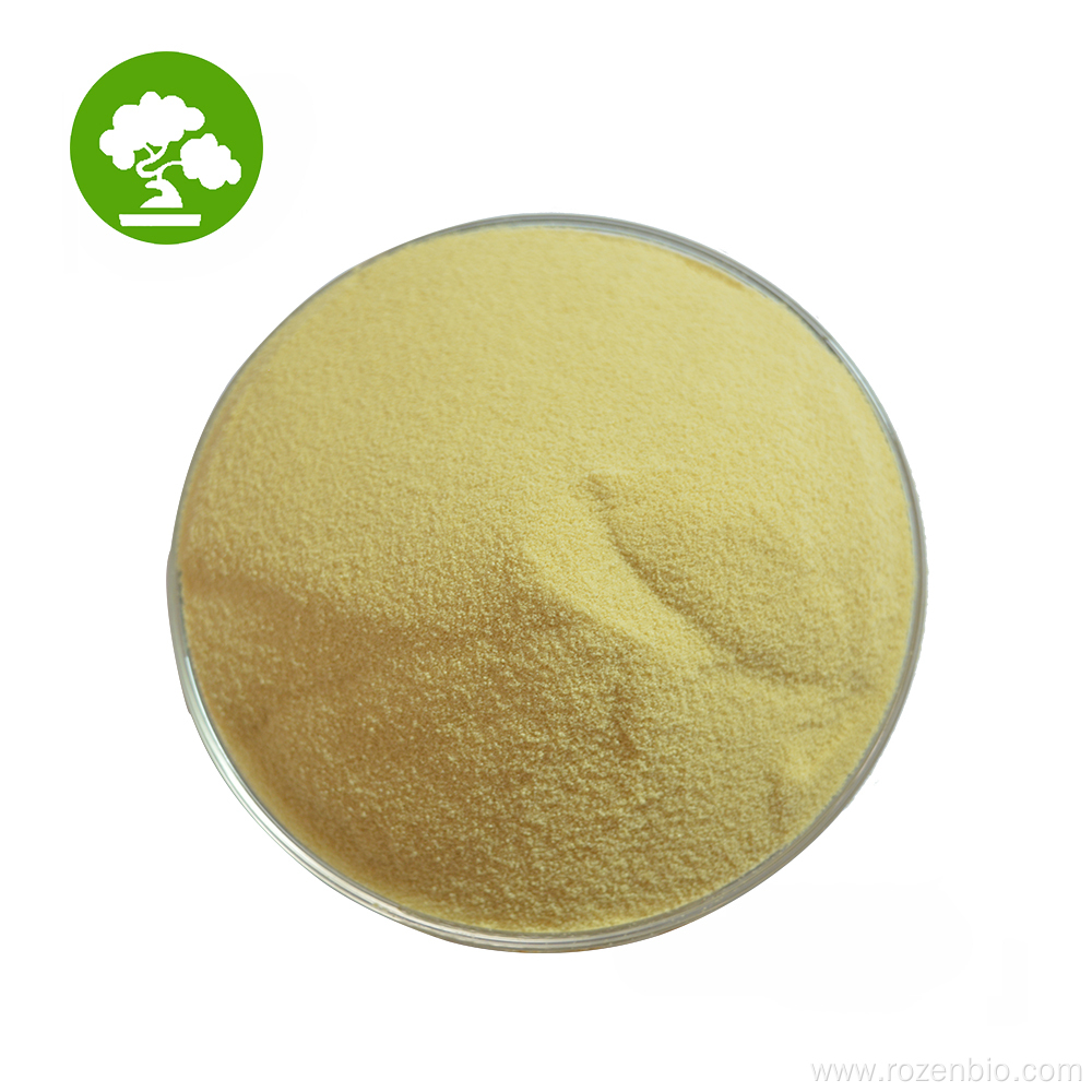 Sophora Japonica Extract Quercetin 98% Powder