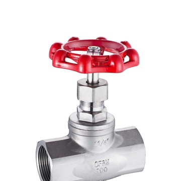 SS304 Stainless Steel NPT Thread Globe Valve