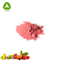 Organischer OEM Natur reiner Acerola -Kirsch -Extraktpulver