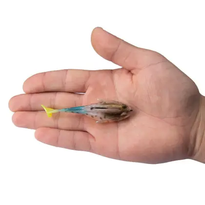 Pre-Rigged Jig Head Soft Lures for Bass, Walleye, and Shad Fishing