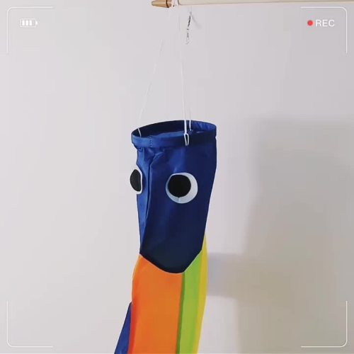 Factory Wholesale Knitted Customized Printed Windsock Flags