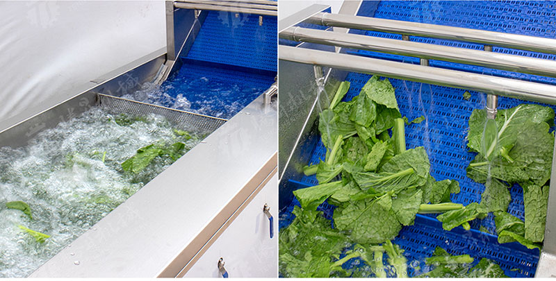 vegetable cleaner machine