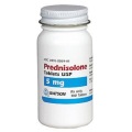 prednisolona vs prednisona para cães