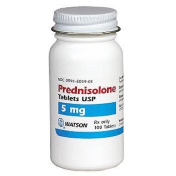 prednisolone vs prednisone for dogs