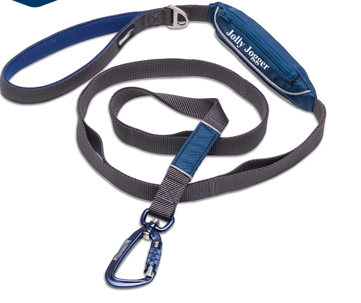 Pet Training Leash