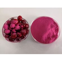 Extract Fruit Juice Cranberry Powder