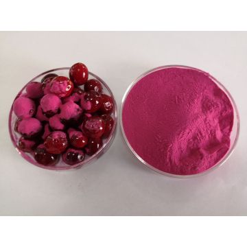 Extract Fruit Juice Cranberry Powder