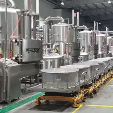 Customizable Vegetable and Fruit Vacuum Frying Machine