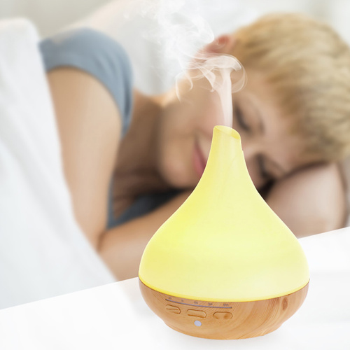 Trending Products Home Room Fragrance Diffusers with Timer
