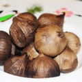 Ingeblikte en vacuümzak Solo Black Garlic