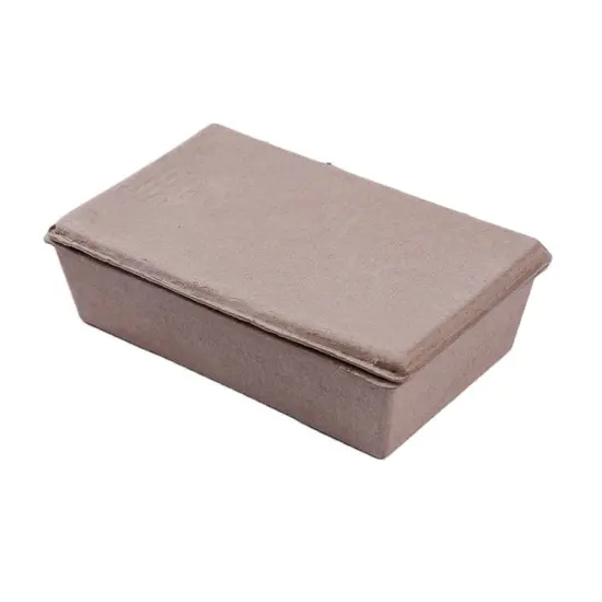 Disposable Compostable Paper Body Sponges Packaging Boxes