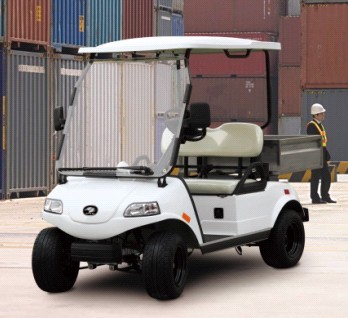 Electric Utility Car (DEL3022GHN, 2-Seater)
