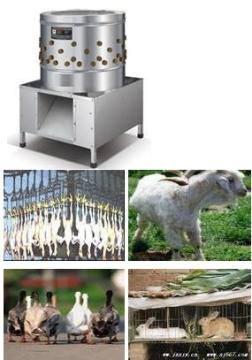 Unfeathering Machine for Poultry