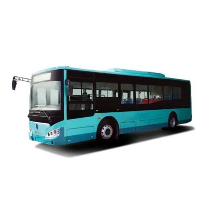 Microcirculation Autonomous Electric City Buses