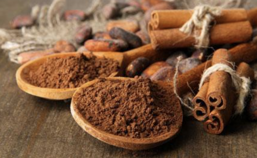 Natural Cinnamon Extract Powder