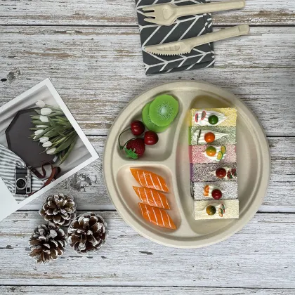 10 '' 3 Compartment Eco-friendly Products Sugarcane Plate