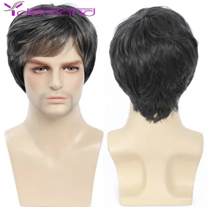 Y Demand Middle-Aged And Elderly Wigs Short Hair Fluffy Wig Straight Black And Gray Mixed Color Wholesale Synthetic Handsome