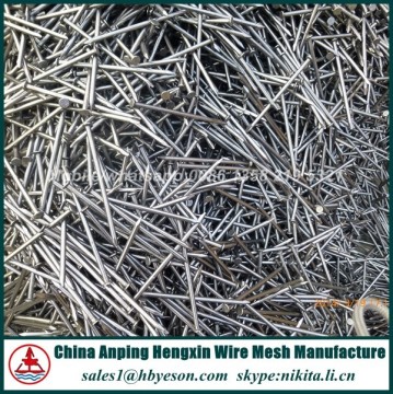 steel wire nails from china factory
