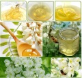 Miele di acacia naturale e puro al 100%