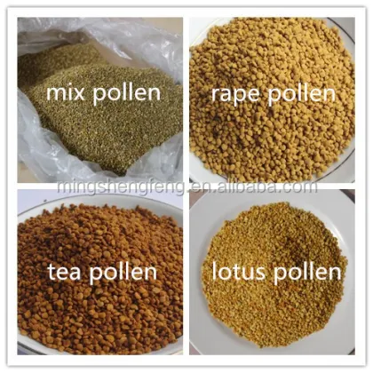 sweet rape bee pollen