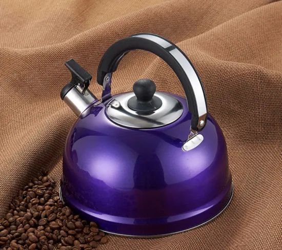 Stainless Steel Colours Flat Bottomed Kettle​