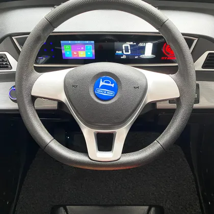 Liquid Crystal Instrument Electric Vehicle