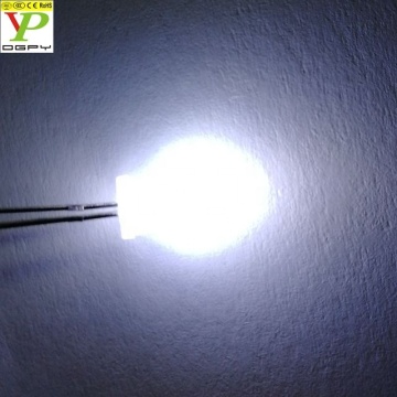 5mm beyaz dağınık LED