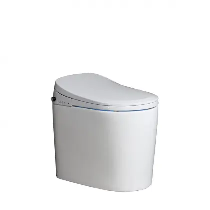Intelligence smart toilet with electronic move contral