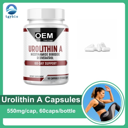 Étiquette privée Urolithine A Capsules for Energy Supplément