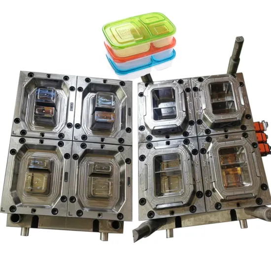 Plastic Square Grid Food Pack Box Injection Mould Supplier