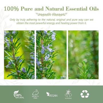 Best Quality Organic Fragrance Rosemary Oil For Hair Growthing