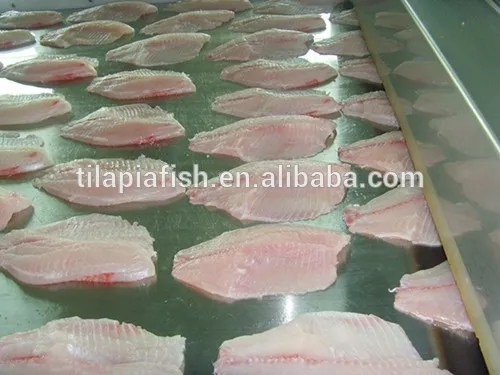 Fresh Frozen Black Tilapia Fillets