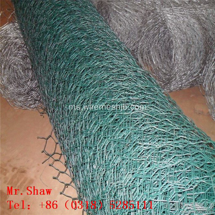 PVC yang diselaraskan Mesh Wire Mesh Hexagonal