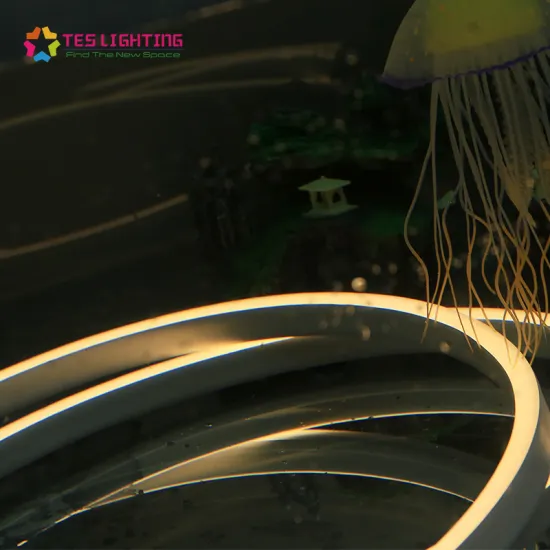 12v neon led strip lighting outdoor ip68