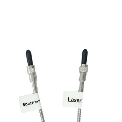 Raman/Fluorescence probe